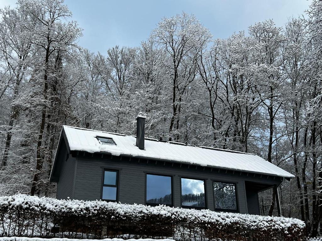 Hercynia Lodge om vinteren