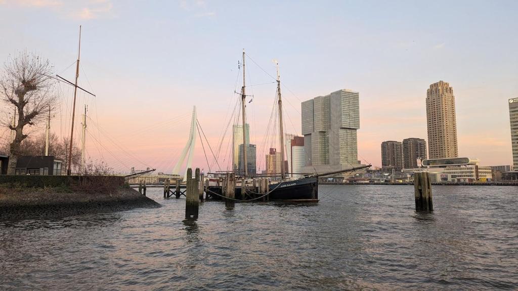 Naturlandskabet i nærheden af båden