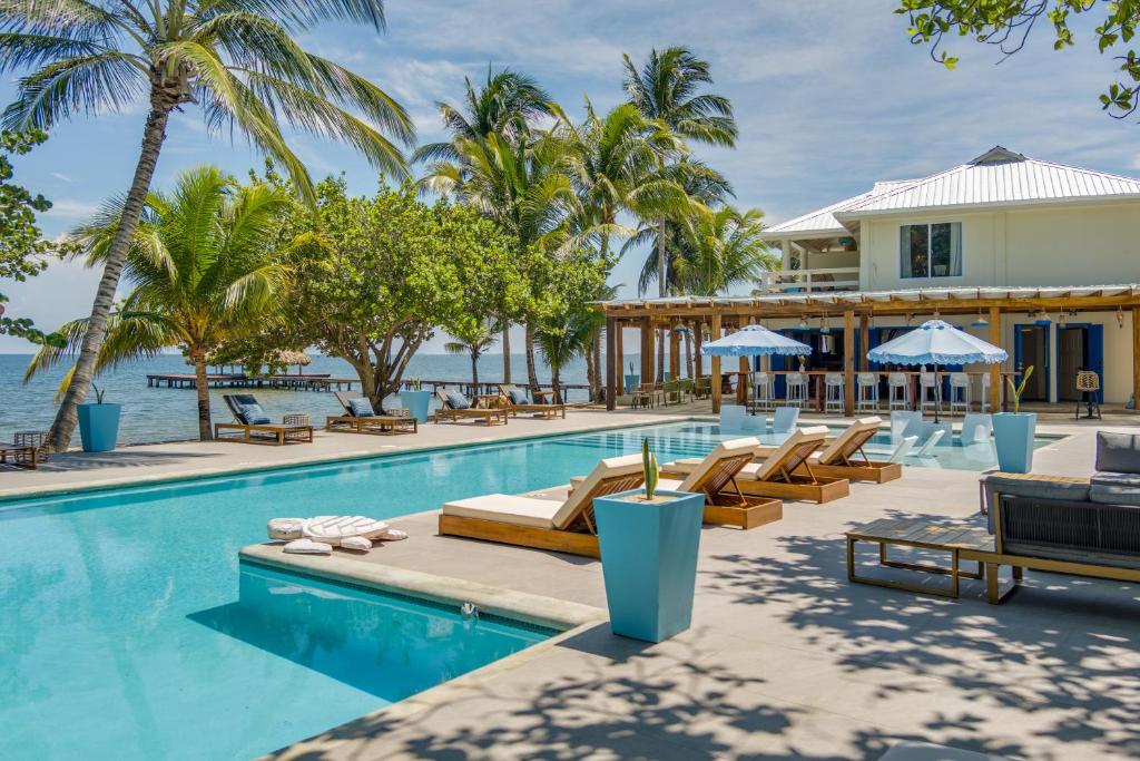 a resort pool with lounge chairs and palm trees at Blue Reef Beach and Marina in Placencia