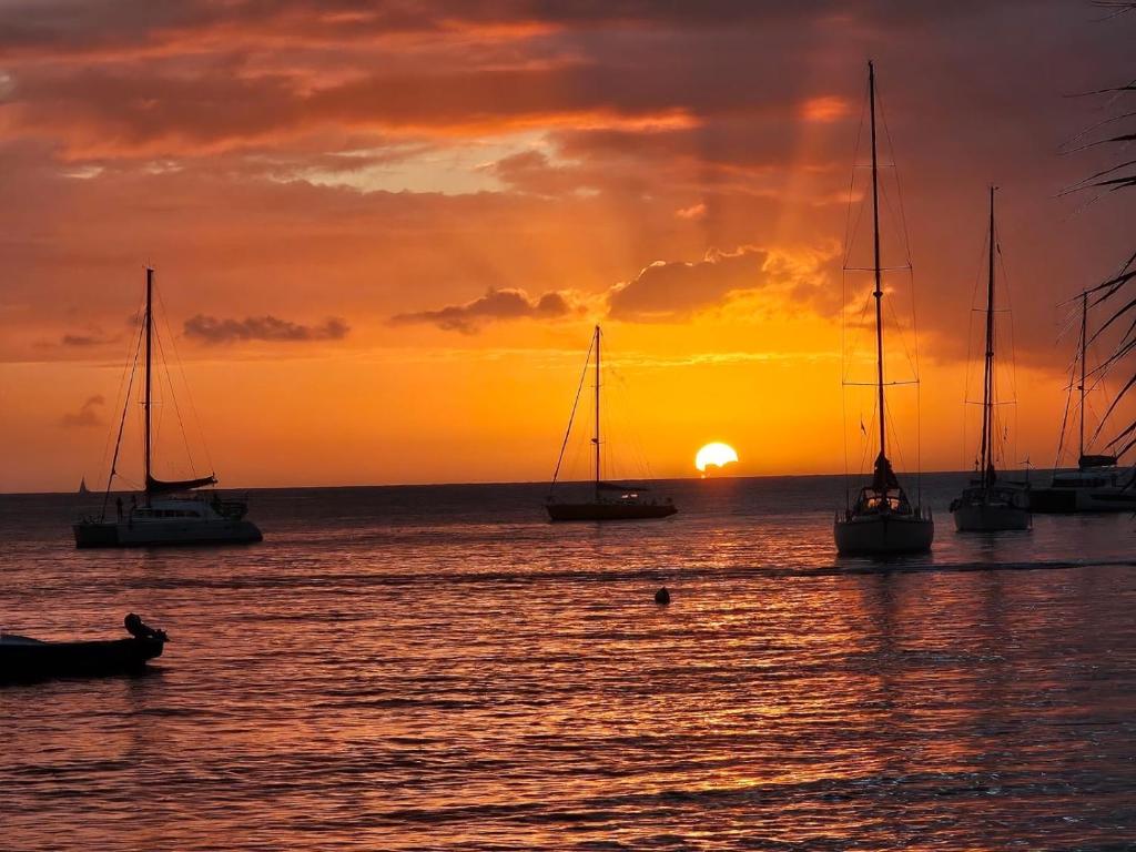a group of boats in the ocean at sunset at Les Sucriers in Les Anses-dʼArlets