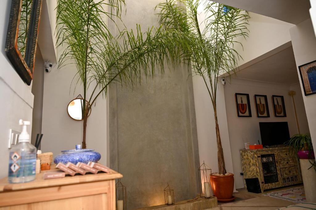 Riad Dar Fena By K&G &jacuzzi — photo 6