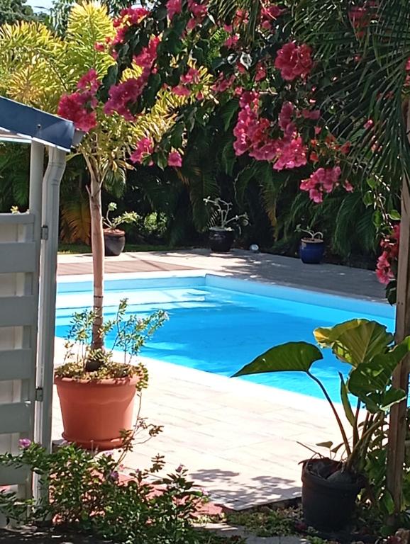 Басейн в Rico або поблизу