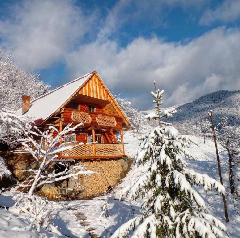 Φωτογραφία από το άλμπουμ του Садиба Ярок σε Vyshka