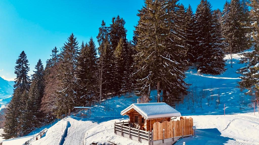 La ComballazThe Forest House的雪覆盖的山坡上的小小屋,有树木