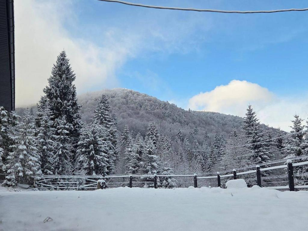 Το In Black forest τον χειμώνα