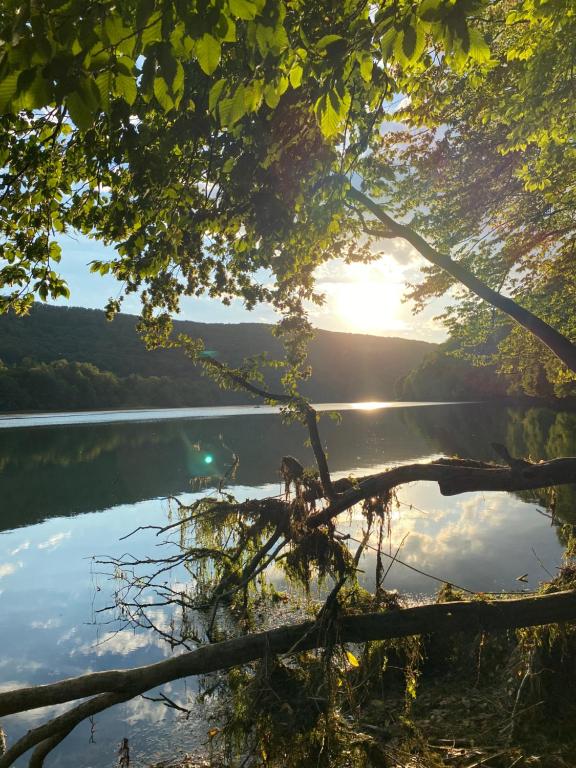Φυσικό τοπίο κοντά σε αυτή η παραθεριστική κατοικία