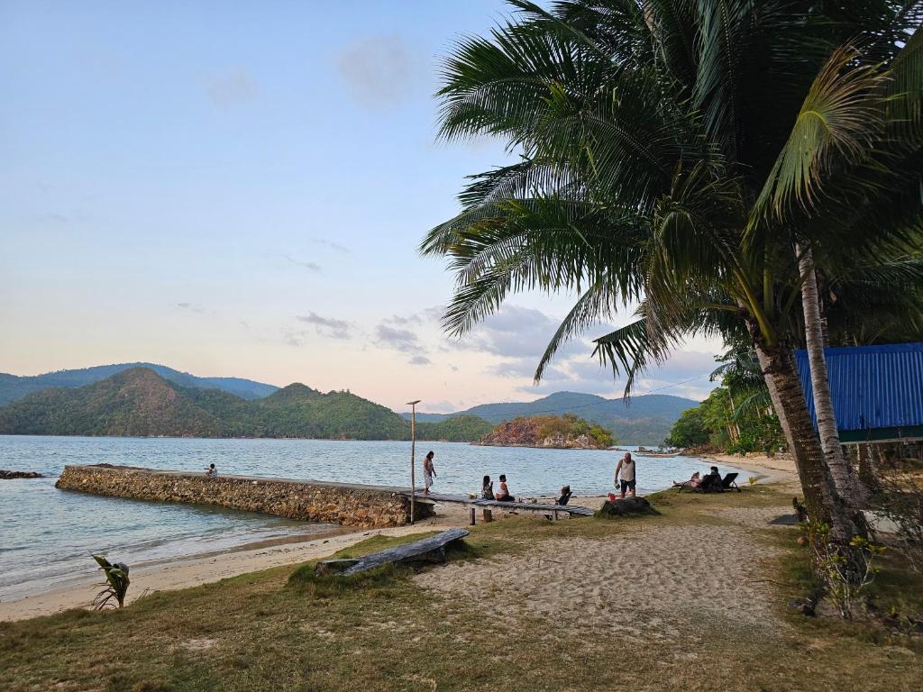 a beach with a palm tree and people on the beach at DK2 Resort - Hidden Natural Beach Spot - Direct Tours & Fast Internet in El Nido