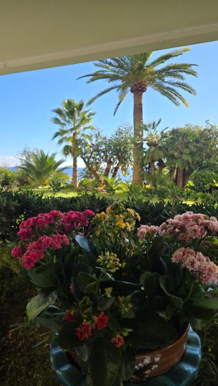 Κήπος έξω από το CANNES La Mirandole