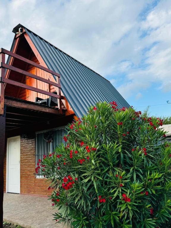 Cabañas Las abuelas