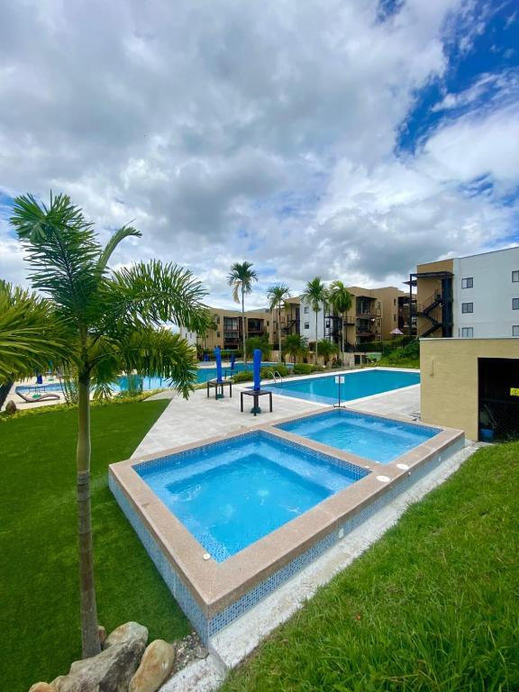 a pool with a palm tree next to a building at Apartamento con piscinas y jacuzzi in La Tebaida