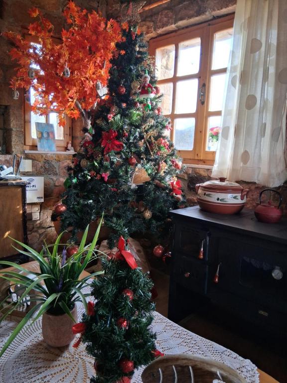 KírkiKirki Old Winery Guest House的一间桌子房间里,有一棵圣诞树