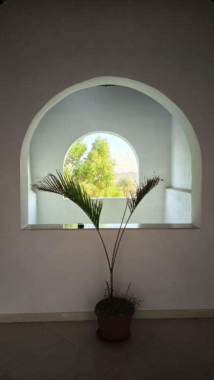 a potted plant sitting in front of an arched window at Karima house B in Al Aqālitah