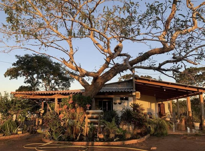 Vườn quanh Pousada da Zita