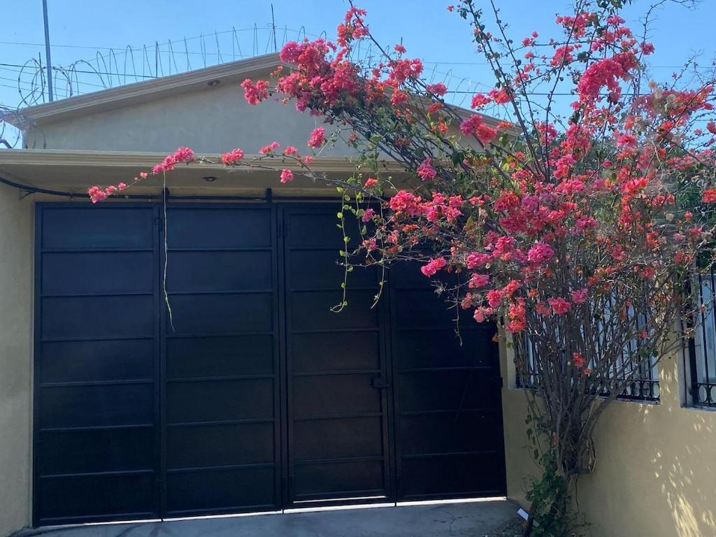 uma garagem com porta preta com flores cor-de-rosa em Casa Amelia, 5 minutes from the airport em Flores
