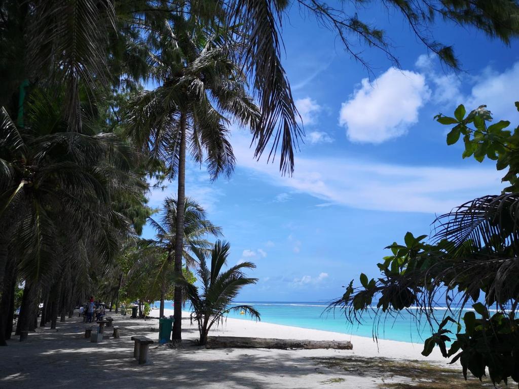 a beach with palm trees and the ocean at Rara HM in Male City