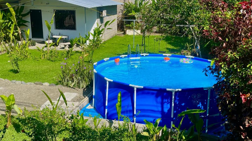 ein blauer Pool in der Mitte eines Gartens in der Unterkunft Pura Vida Estudio with Pool in Puerto Jiménez