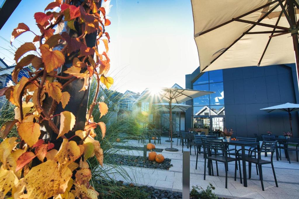 Scandinavia Zator, an Ascend Collection Resort - 4