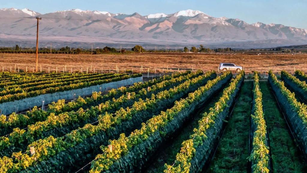 Příroda nedaleko vily