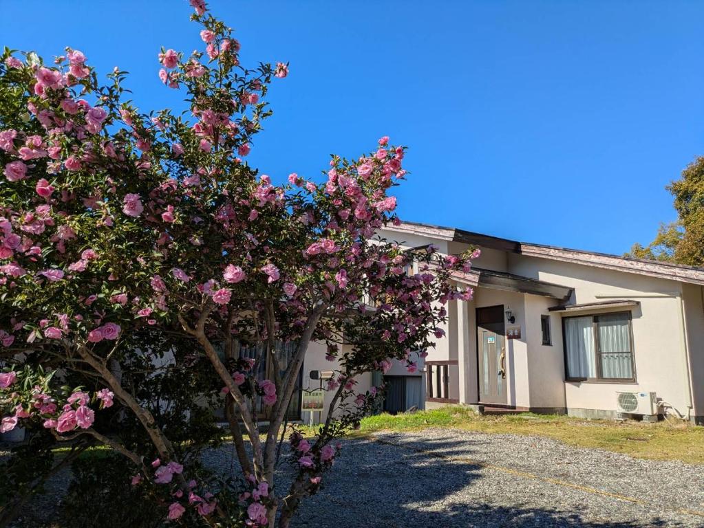 Κήπος έξω από το ファミーユグループ城ケ崎店 海音Umine