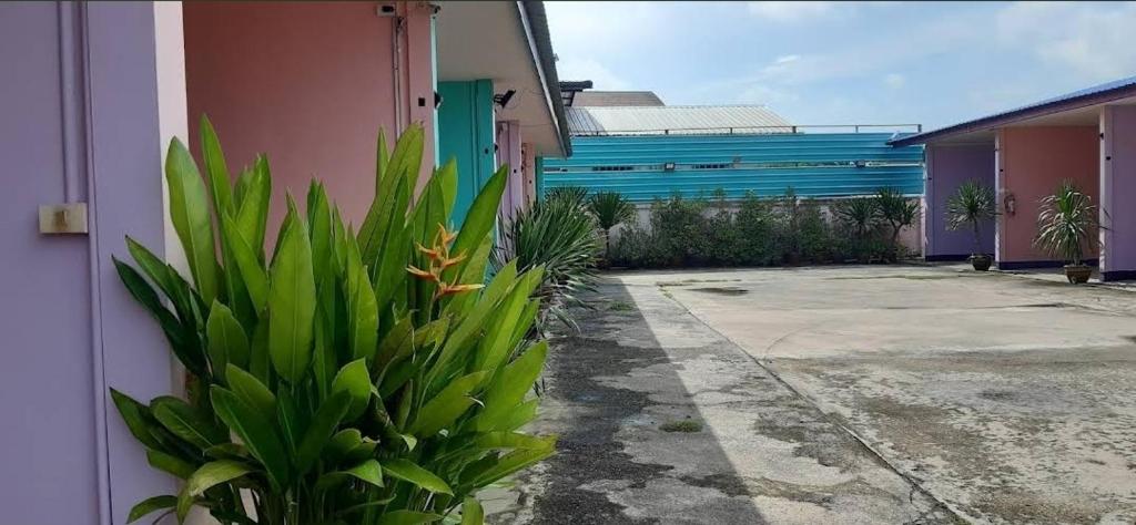 a plant in front of a building with blue doors at Saran Resort room 13 in Ban Khok Wat