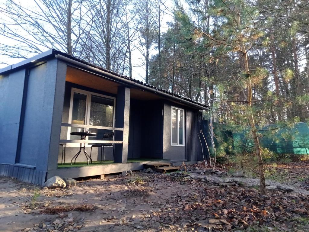 a blue tiny house in the woods at Scandinavia bungalow in Kamennaya Gora