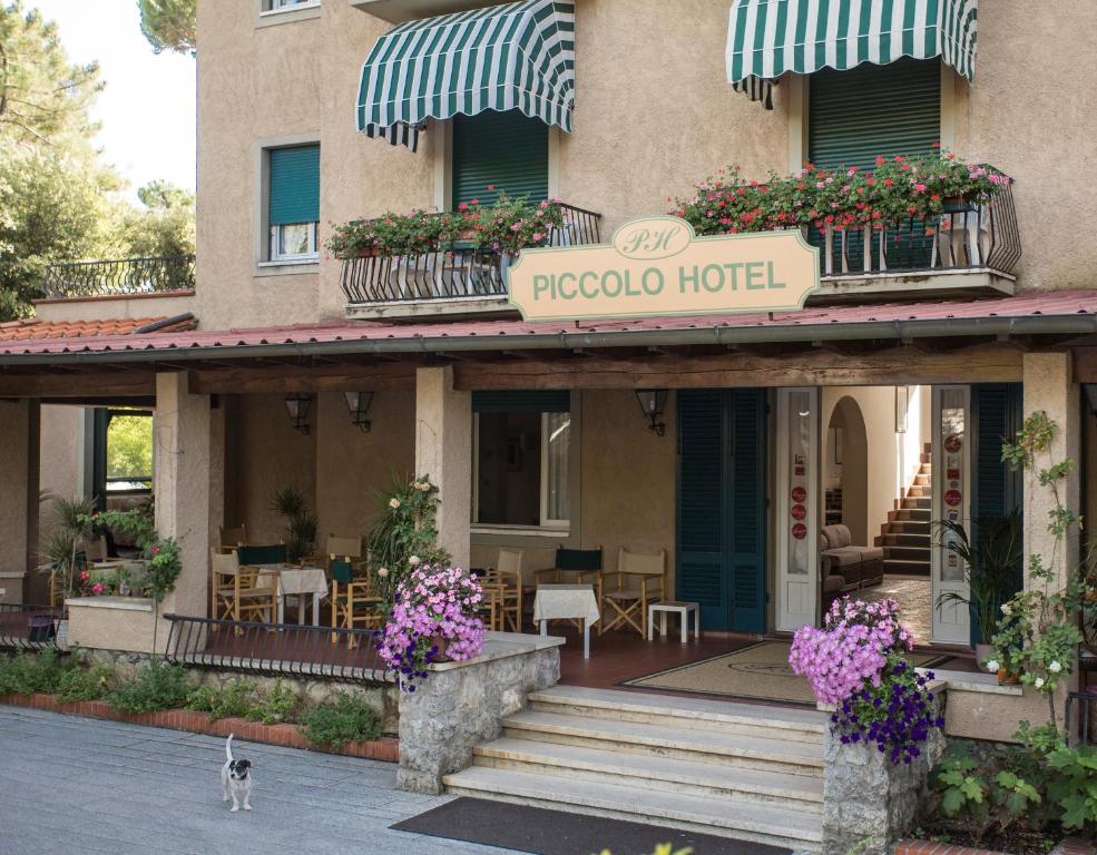 a dog standing in front of a hotel at Piccolo Hotel in Forte dei Marmi