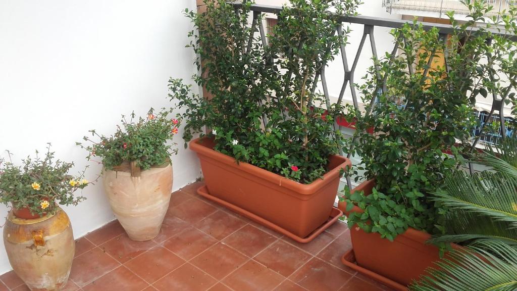 Zahrada ubytování Casa Namasté