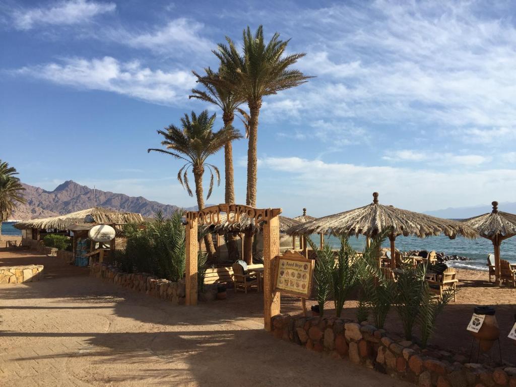 una playa con palmeras, mesas y sillas en Dive Urge, en Dahab