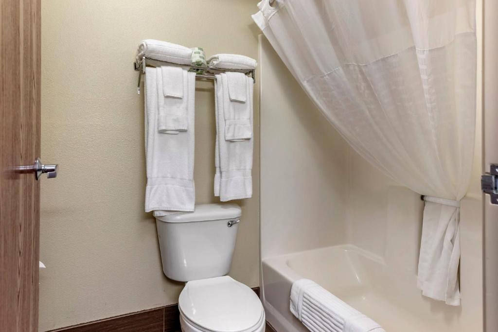 Comfort Suites Grandville - Grand Rapids SW - Suite Con Cama Extragrande - No Fumadores