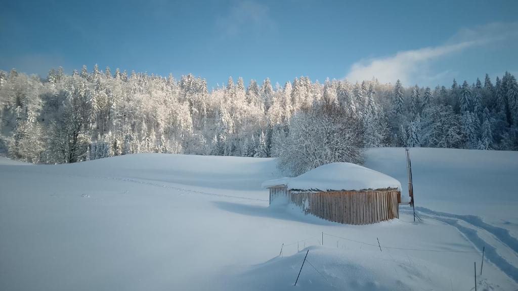 a small building in a field covered in snow at Séjours nature et bien être en YOURTE in La Pesse