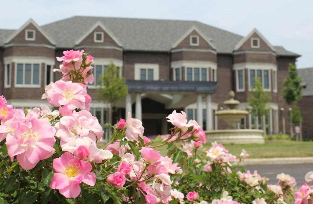 um ramo de flores cor-de-rosa em frente a uma casa em The Bruce Hotel em Stratford