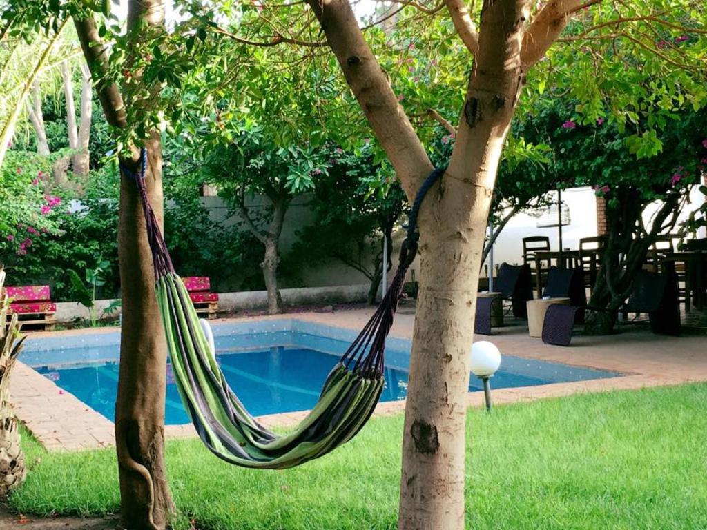 a hammock hanging between two trees next to a pool at Umoja Guesthouse II in Ouagadougou