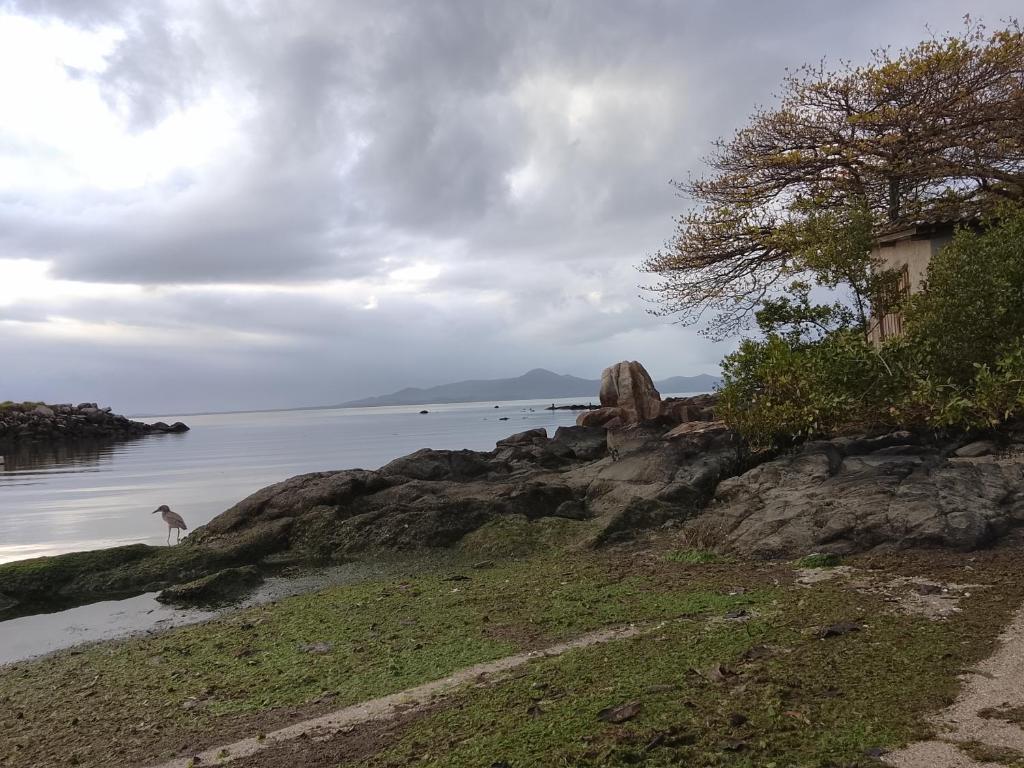 a giraffe walking on a beach next to the water at Quarto em casa com moradores in São José