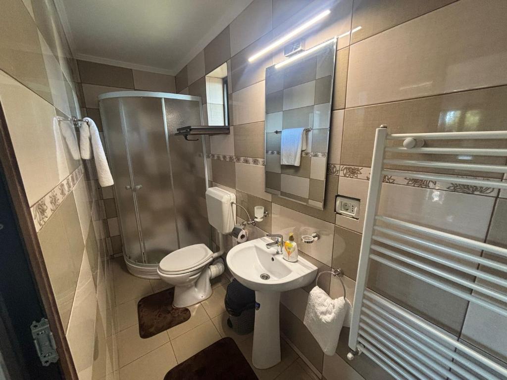 a bathroom with a toilet and a sink and a shower at Casa Rustica Cernica in Cernica