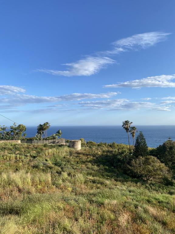 ein grasbewachsener Hügel mit Blick auf das Meer in der Unterkunft Casa Ana Maro in Maro