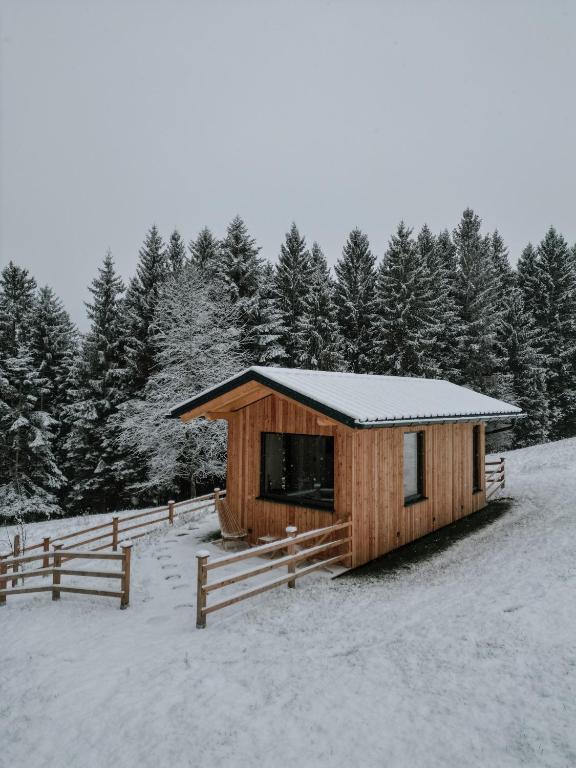 YbbsitzFerienhaus "Moosgrün" - Tiny House Urlaub的雪中带围栏的小木屋