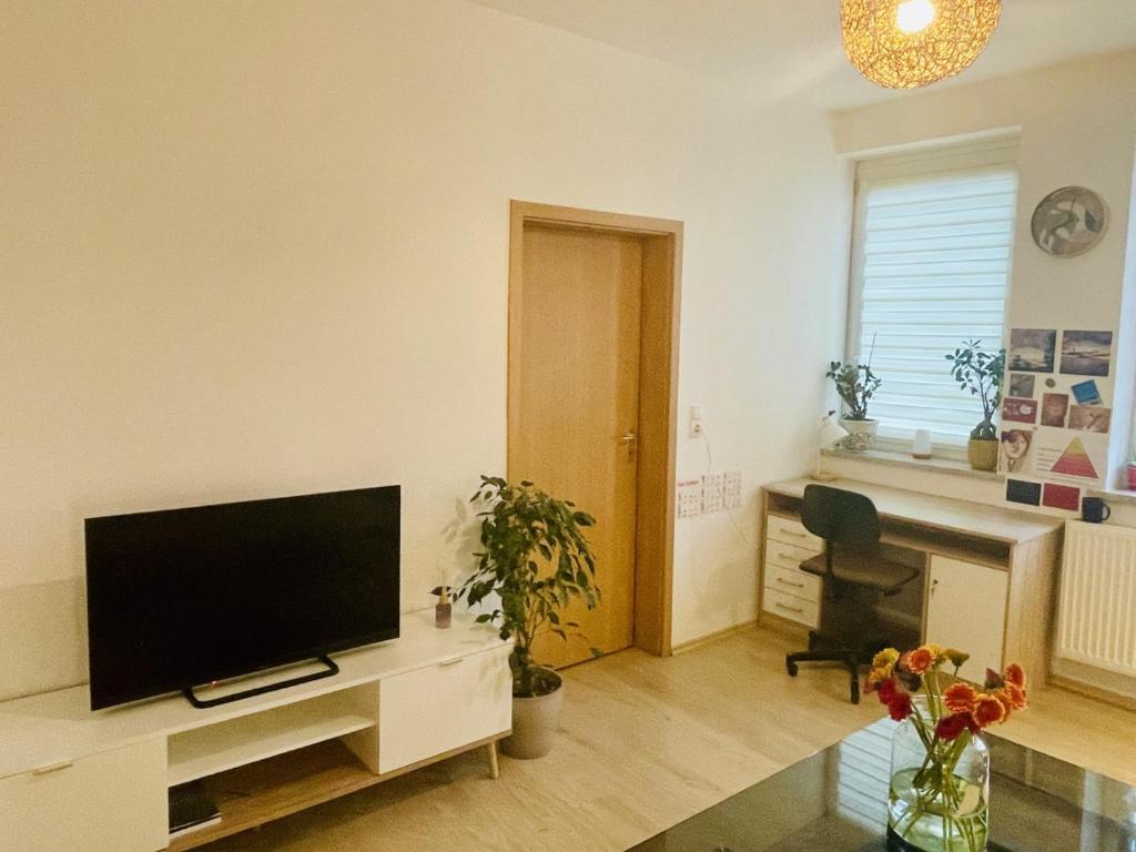 Μια τηλεόραση ή/και κέντρο ψυχαγωγίας στο Fenix Haus