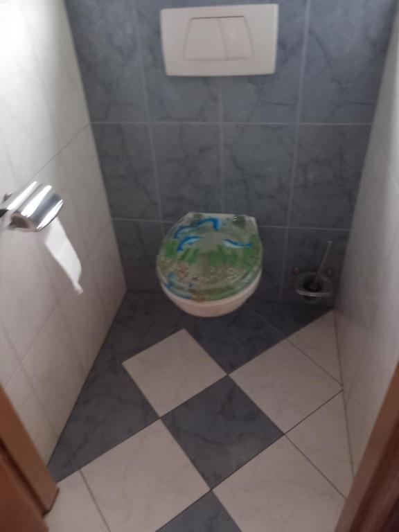 Eenpersoonskamerskamer, gezamenlijk gebruik badkamer en toilet في تورْن: حمام صغير مع مرحاض في دش