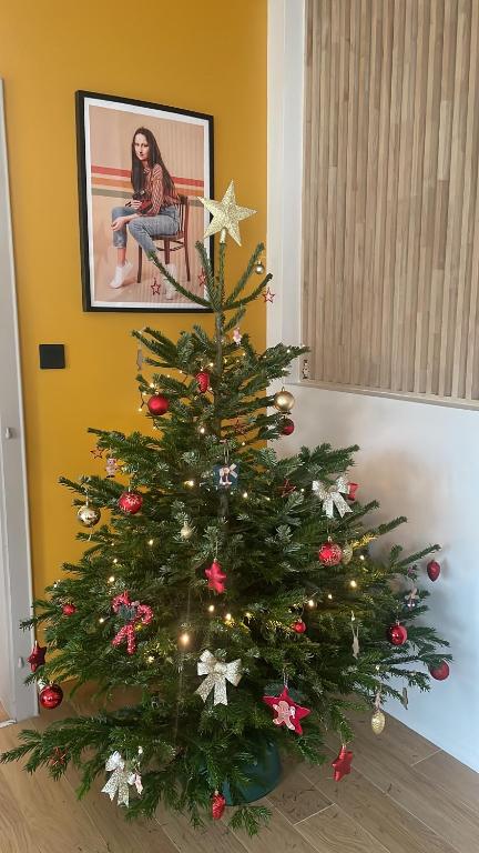 Φωτογραφία από το άλμπουμ του Grand appartement aux portes de Strasbourg σε Ittenheim