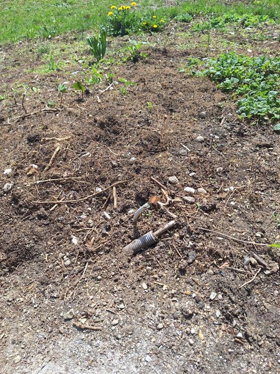 Φωτογραφία από το άλμπουμ του xxx σε Judendorf