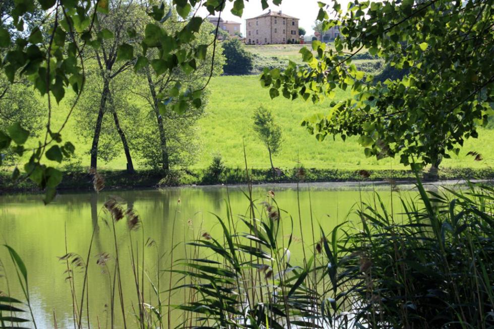 uma vista para um lago com uma casa ao fundo em Appartamenti Cenni - Relais su Lago em Varsi