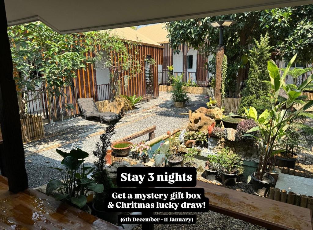 a advert for a mystery gift box and christmas mystery therapy yard at Proud Chiang Mai Poshtel in Chiang Mai