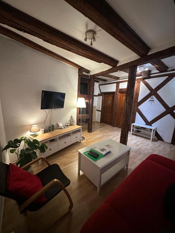 TV a/nebo společenská místnost v ubytování La Grenouille