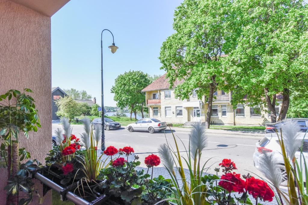 Κήπος έξω από το 2 kambarių apartamentai su virtuve, Trakų miesto centre