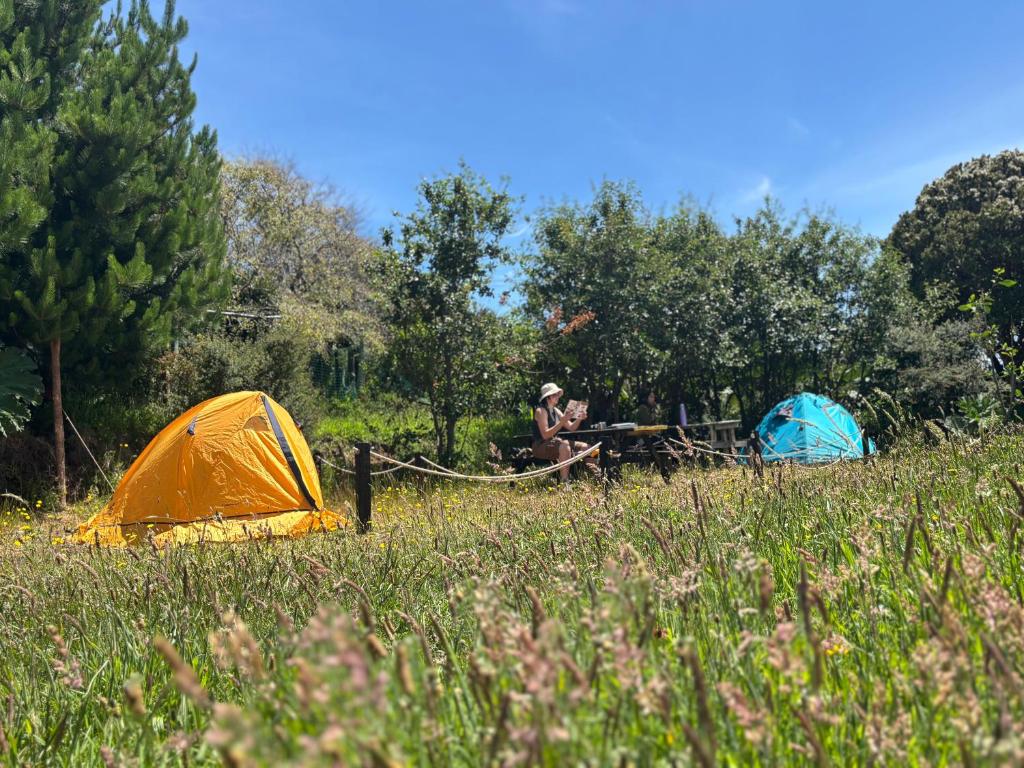 Un hombre sentado junto a dos tiendas de campaña en un campo. en Muelle del Tiempo Camping, en Quilán