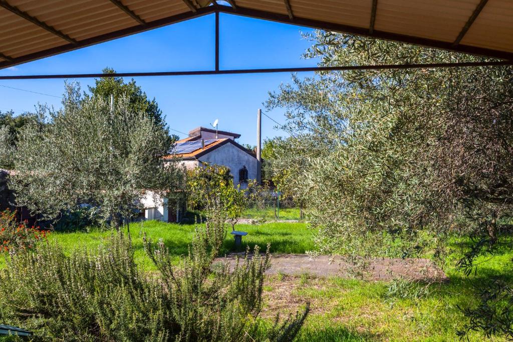 En have udenfor Vigna dell'Etna
