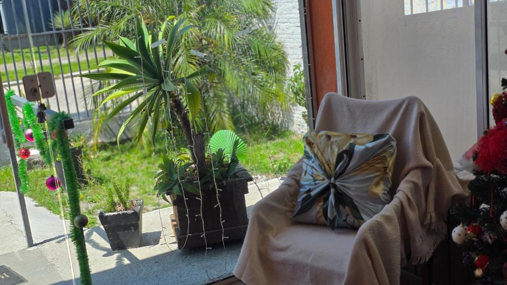 En have udenfor Refúgio Vida & Brisa