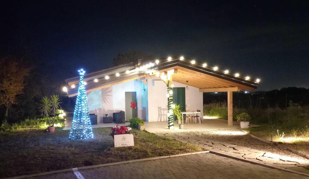 Κήπος έξω από το La Casa nel bosco