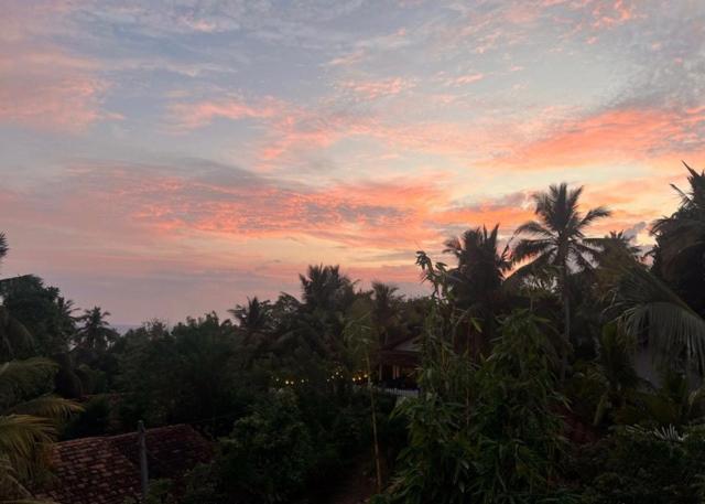 ホテルの近くで見られる自然の景観