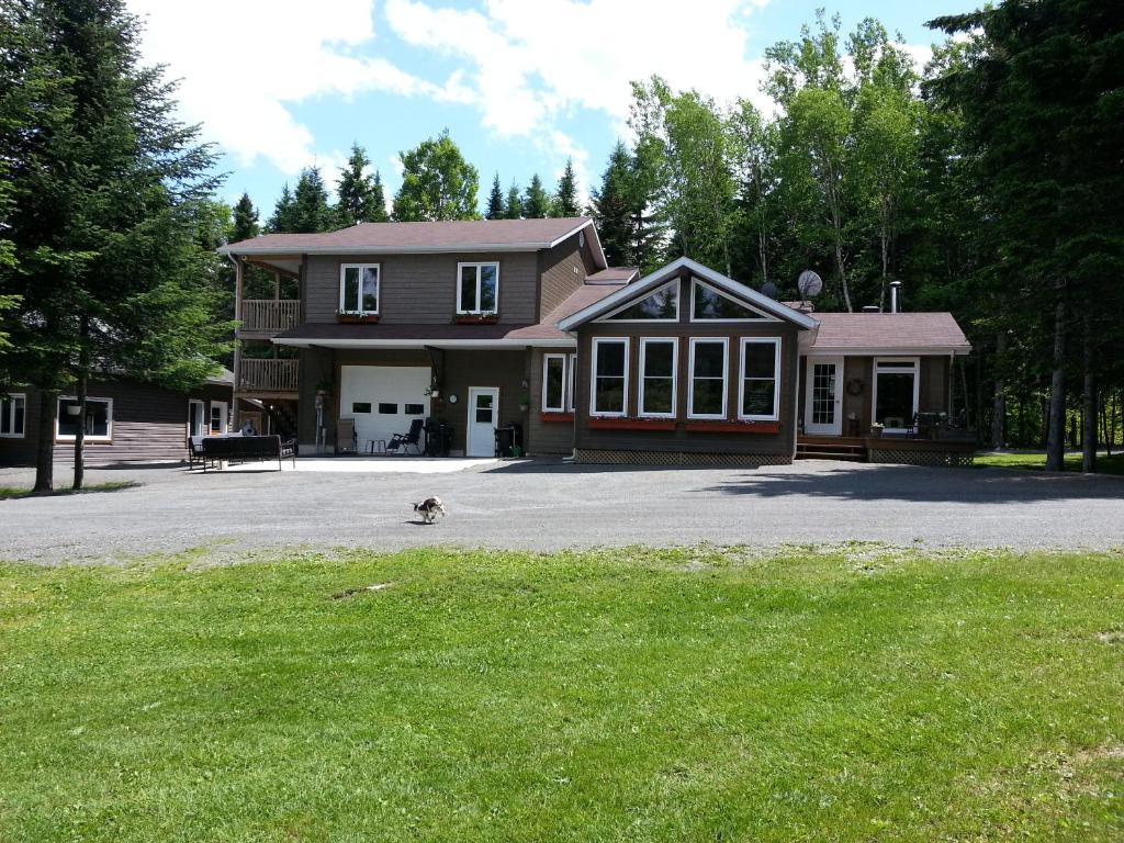 a dog standing in front of a house at Bed and Breakfast Du Repos in Saint Quentin